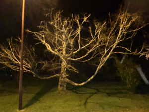 "Silhouette debout face au soleil – slam sur la transmission et le feu intérieur"