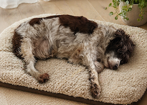 "Silhouette debout face au soleil – slam sur la transmission et le feu intérieur"